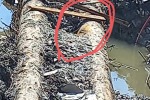 Ремонтные работы на центральном водоводе
